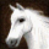 Icono de Caballo Blanco