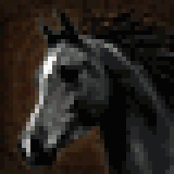 Icono de Caballo Comarca